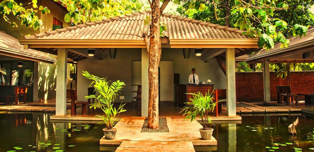 Fresco Water Villa Sigiriya Dış mekan fotoğraf