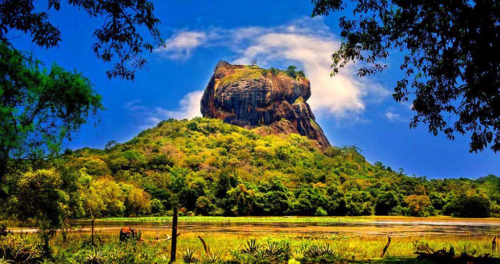 Fresco Water Villa Sigiriya Dış mekan fotoğraf